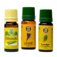 Kit 3 uleiuri esentiale Repelente contra Insectelor 3x10ml - SOLARIS