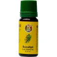 Ulei esential eucalipt 10ml - SOLARIS