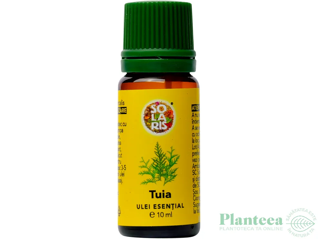 Ulei esential tuia 10ml - SOLARIS