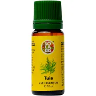 Ulei esential tuia 10ml - SOLARIS