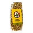 Seminte armurariu 100g - SOLARIS