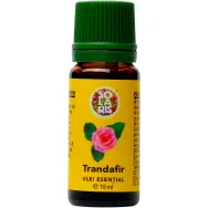 Tester ulei esential trandafir 10ml - SOLARIS