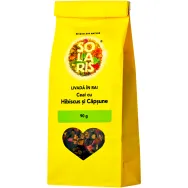 Ceai hibiscus capsune 90g - SOLARIS