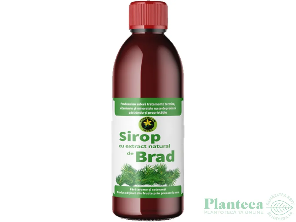 Sirop muguri brad cu zahar invertit 500ml - HYPERICUM