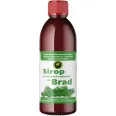 Sirop muguri brad cu zahar invertit 500ml - HYPERICUM