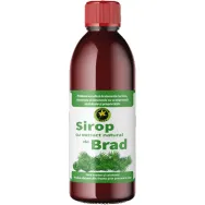 Sirop muguri brad cu zahar invertit 500ml - HYPERICUM