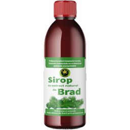 Sirop muguri brad cu zahar invertit 500ml - HYPERICUM