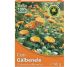 Ceai galbenele 40g - HYPERICUM