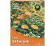 Ceai galbenele 40g - HYPERICUM