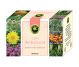 Ceai antialcool 20dz - HYPERICUM