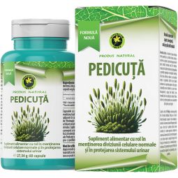 Pedicuta 60cps - HYPERICUM