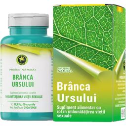 Branca ursului 60cps - HYPERICUM
