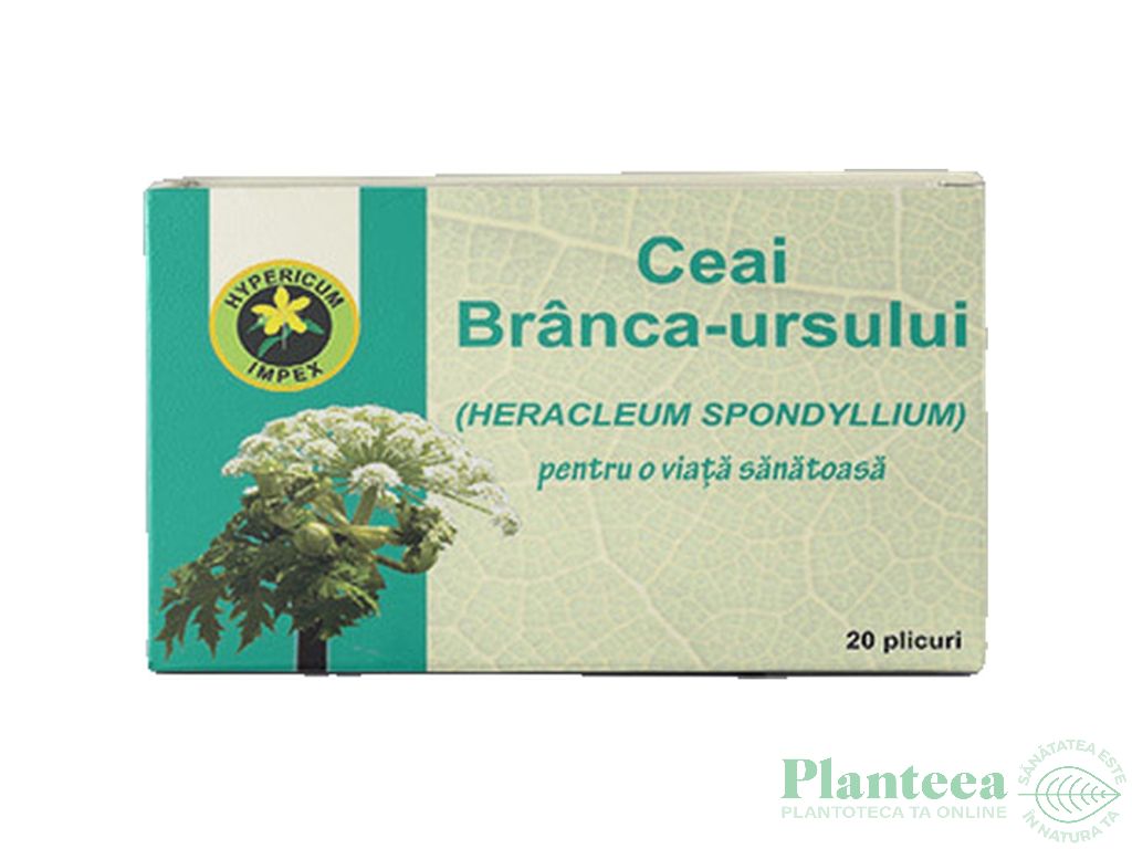 Ceai branca ursului 20dz - HYPERICUM