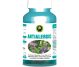 Antialergic 60cps - HYPERICUM