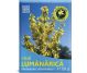 Ceai lumanarica 50g - HYPERICUM