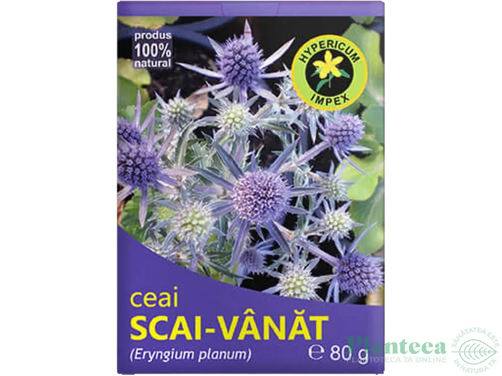 Ceai scai vanat 80g - HYPERICUM