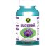 Lucerna 60cps - HYPERICUM