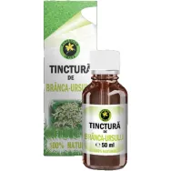 Tinctura branca ursului 50ml - HYPERICUM