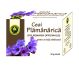 Ceai plamanarica 20g - HYPERICUM