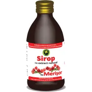 Sirop merisor cu zahar invertit 250ml - HYPERICUM