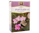 Ceai pufulita flori mici 50g - STEFMAR