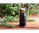 Ulei esential integral cimbru [thymus satureioides] 10ml - LIFE