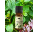Ulei esential oregano 10ml - ELLEMENTAL