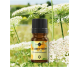 Ulei esential morcovi seminte 5ml - ELLEMENTAL