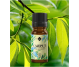 Ulei esential cajeput 10ml - ELLEMENTAL