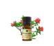 Ulei esential azalee 5ml - ELLEMENTAL