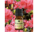 Ulei esential azalee 5ml - ELLEMENTAL