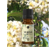 Ulei esential mirt verde 10ml - ELLEMENTAL