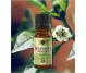 Ulei esential ravensara aromatica 10ml - ELLEMENTAL
