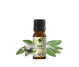 Ulei esential salvia officinalis 10ml - ELLEMENTAL