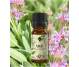 Ulei esential salvia officinalis 10ml - ELLEMENTAL