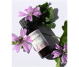 Extract nalba 10ml - ELLEMENTAL