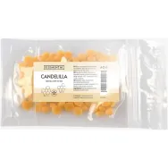 Ceara candelilla 10g - ELLEMENTAL