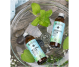 Apa florala melissa 100ml - ELLEMENTAL