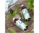 Apa florala menta 100ml - ELLEMENTAL