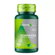 Echinaceea 400mg 30cps - ADAMS SUPPLEMENTS