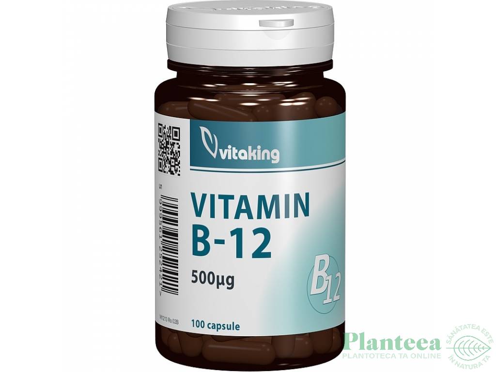 Vitamina B12 500mcg 100cp - VITAKING