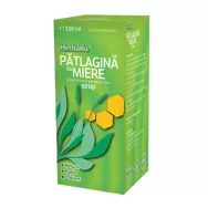 Sirop patlagina miere 100ml - HERBAFLU