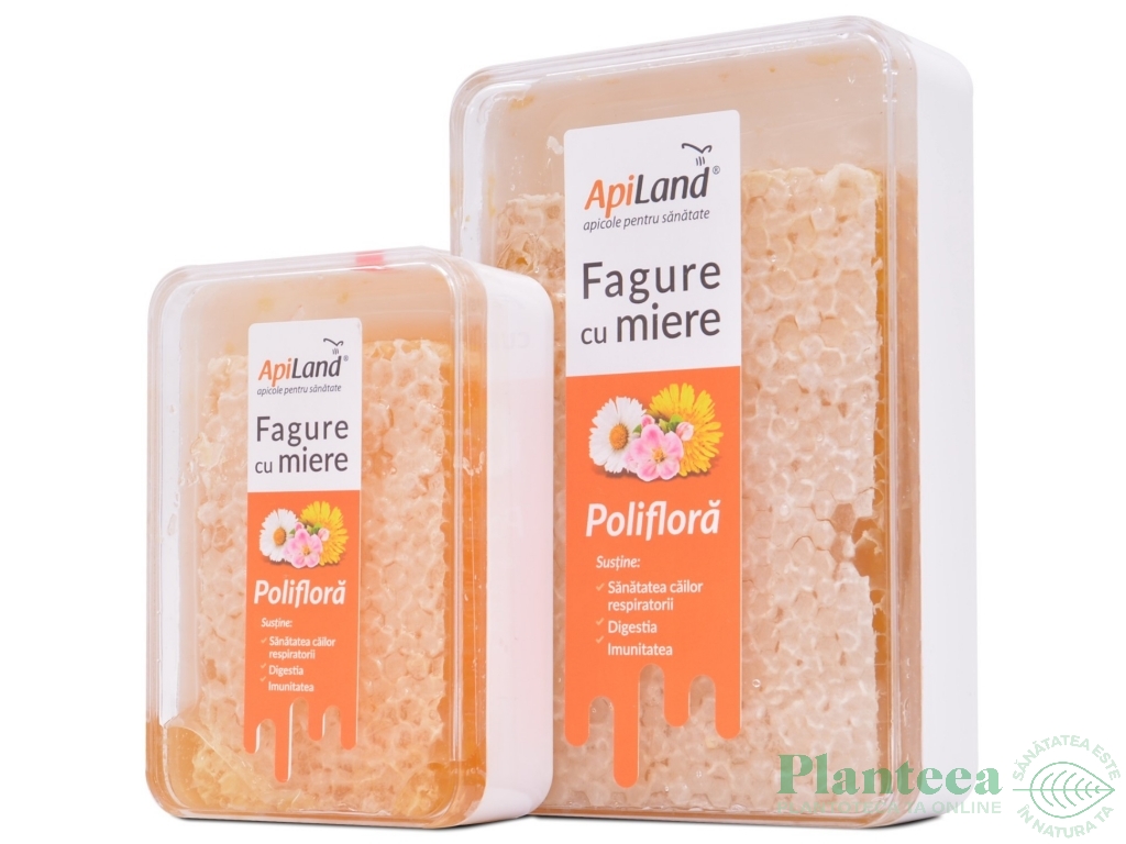 Fagure cu miere poliflora 200g - APILAND