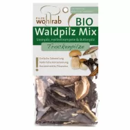 Ciuperci mix salbatice deshidratate eco 30g - WOHLRAB