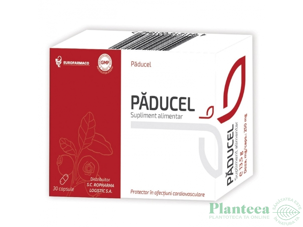 Paducel 100mg 40cp - AESCULAP