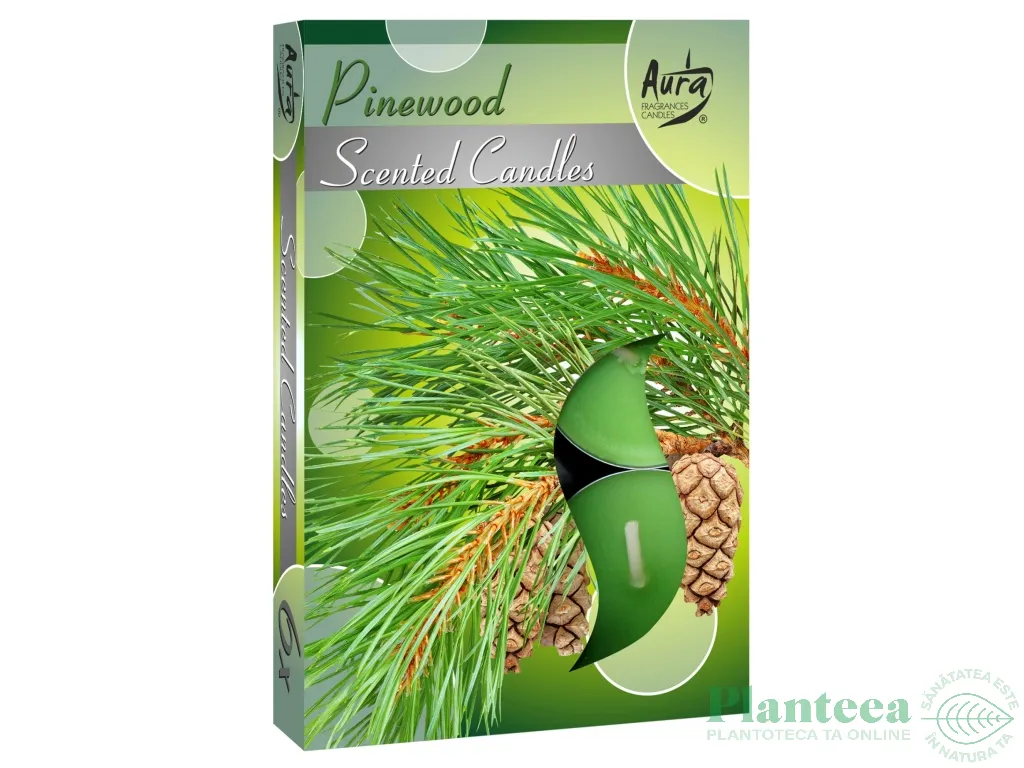 Lumanari pastila parfumate 4h pin[pinewood] 6b - AURA