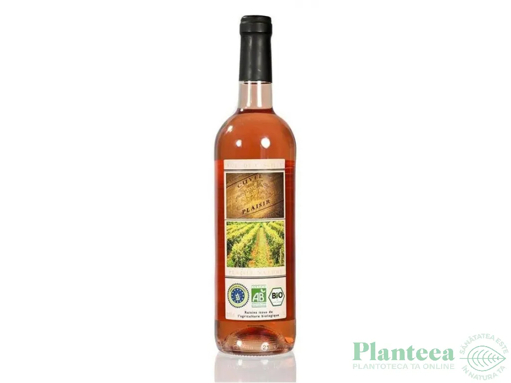 Vin Rose de Castille Spania 375ml - CUVEE PLAISIR