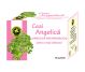 Ceai angelica 30g - HYPERICUM