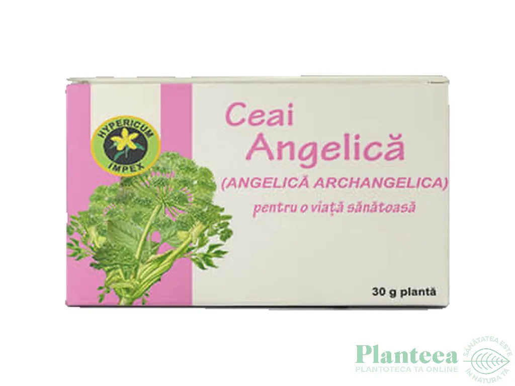 Ceai angelica 30g - HYPERICUM