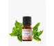 Extract acmella in~tense 5ml - ELLEMENTAL